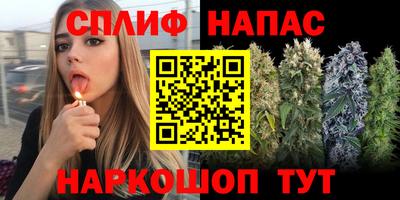 спайс Коммунар