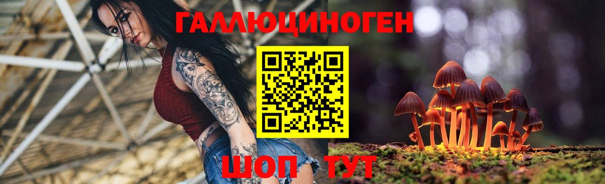 Камышлов  Галлюциногенные грибы Psilocybe  Вход с VPN 
